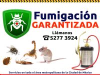 FUMIGACION DE HORMIGAS